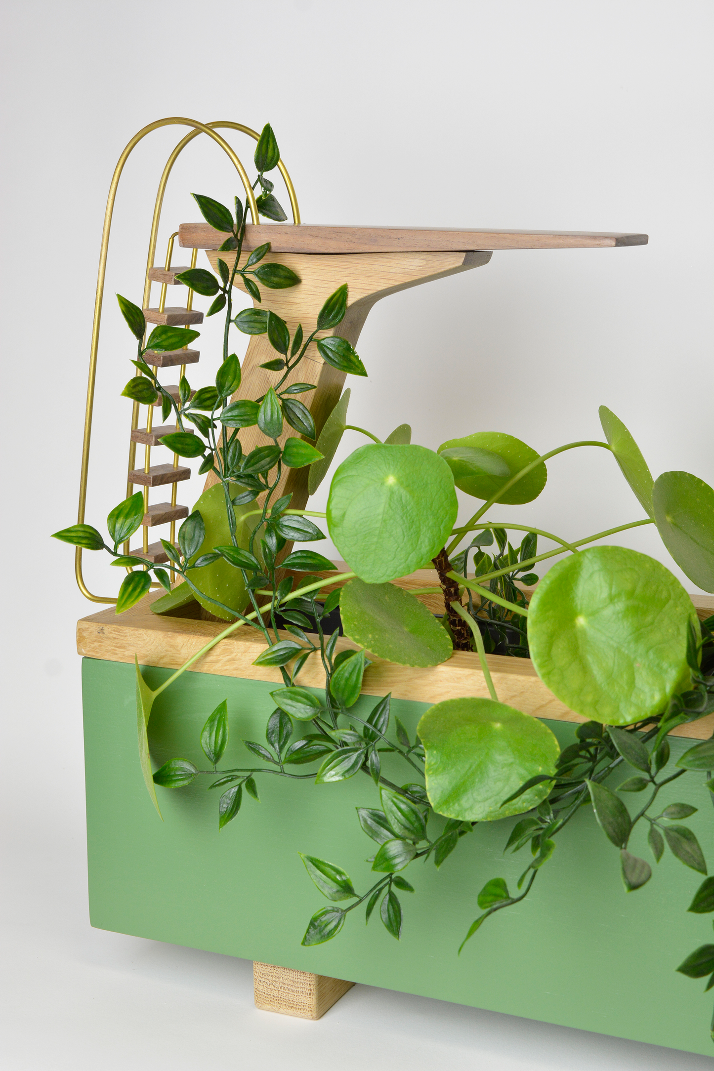 Diveboard planter