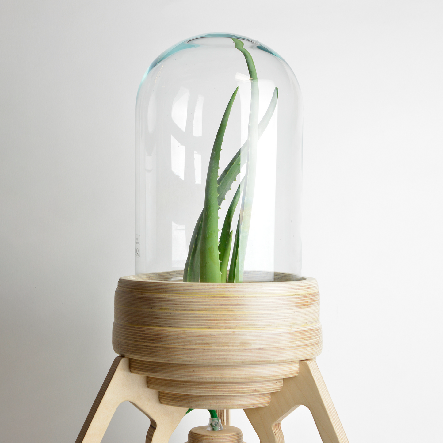 Large Rocket Lamp Terrarium