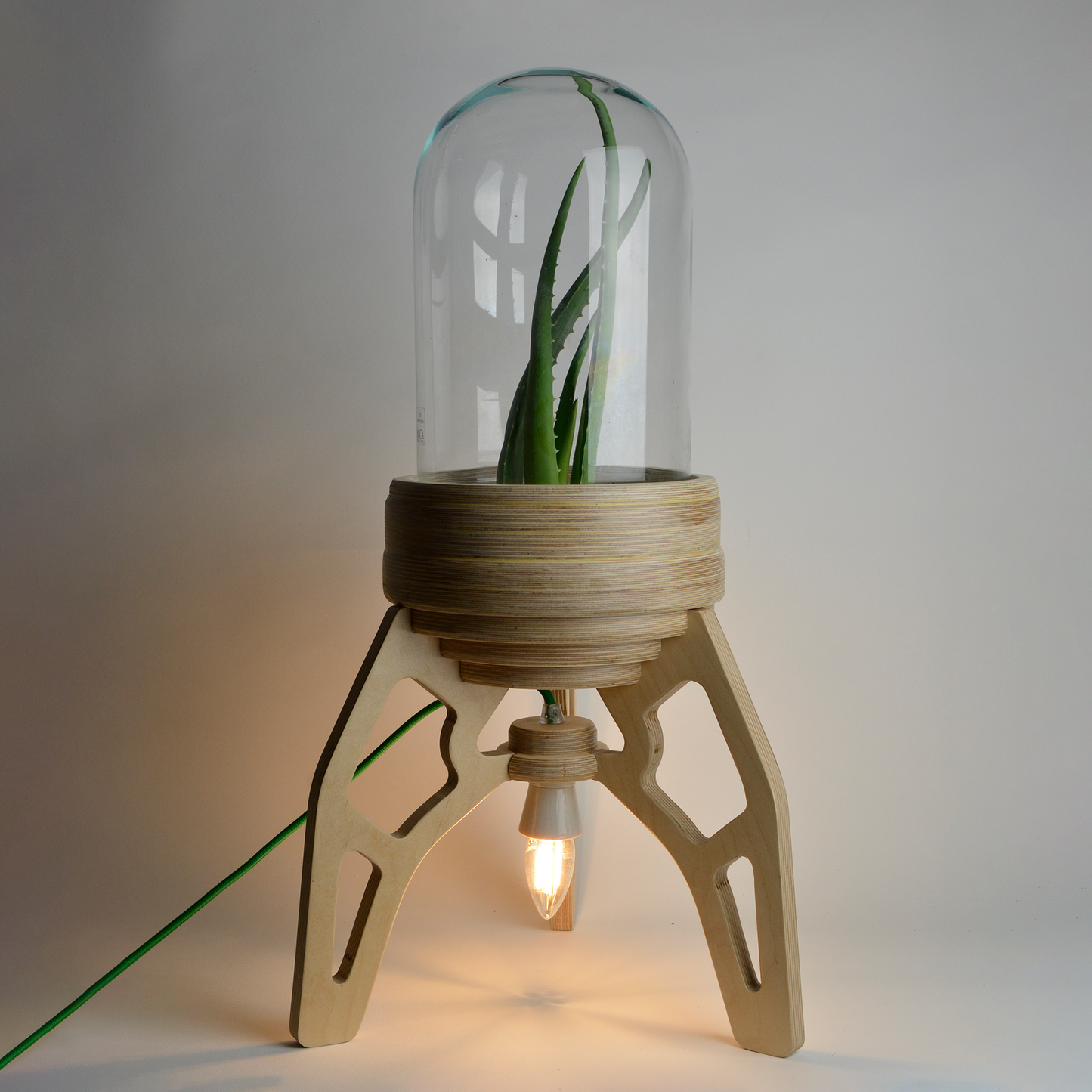 Large Rocket Lamp Terrarium