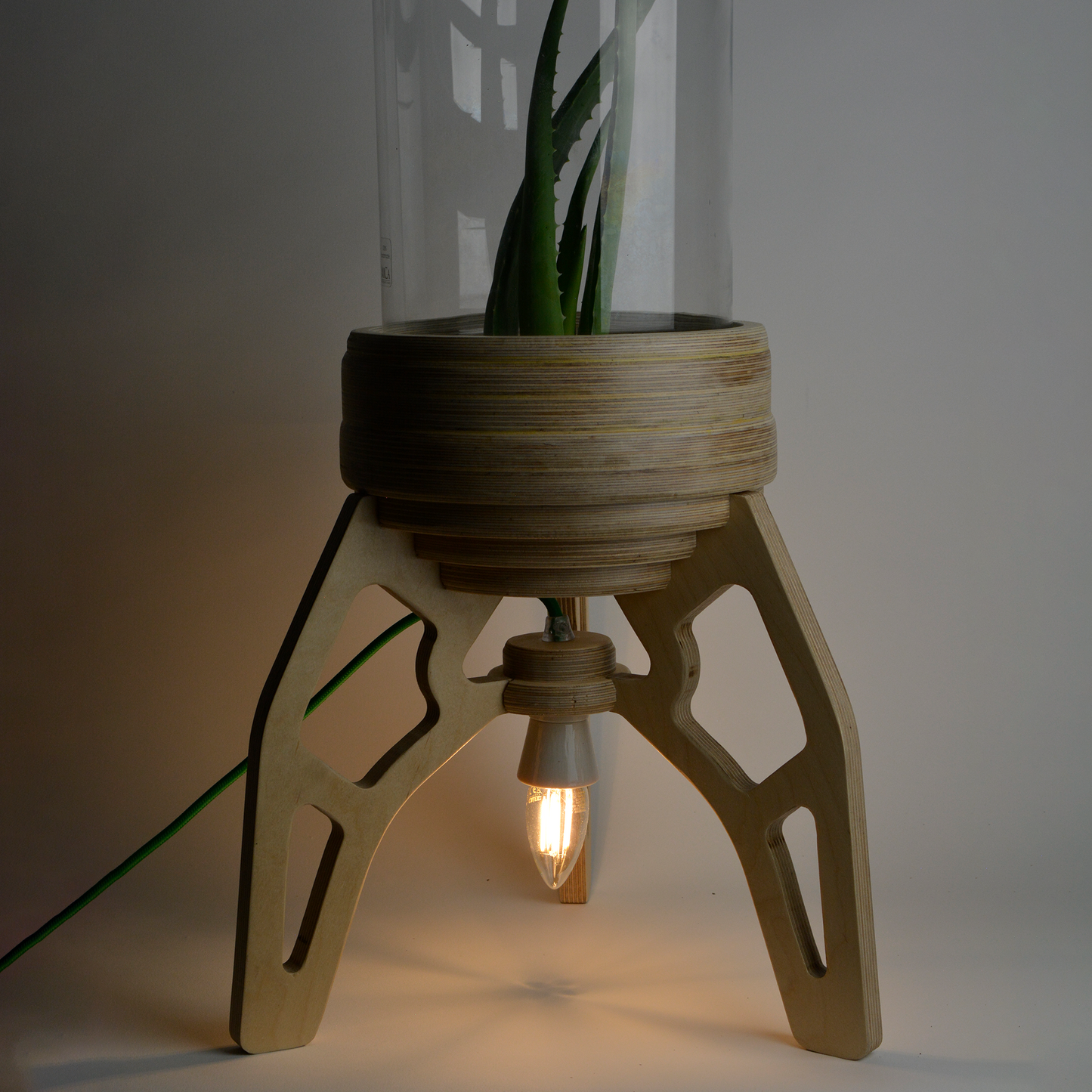 Large Rocket Lamp Terrarium